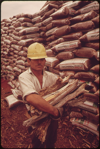 lumber yard worker.jpg